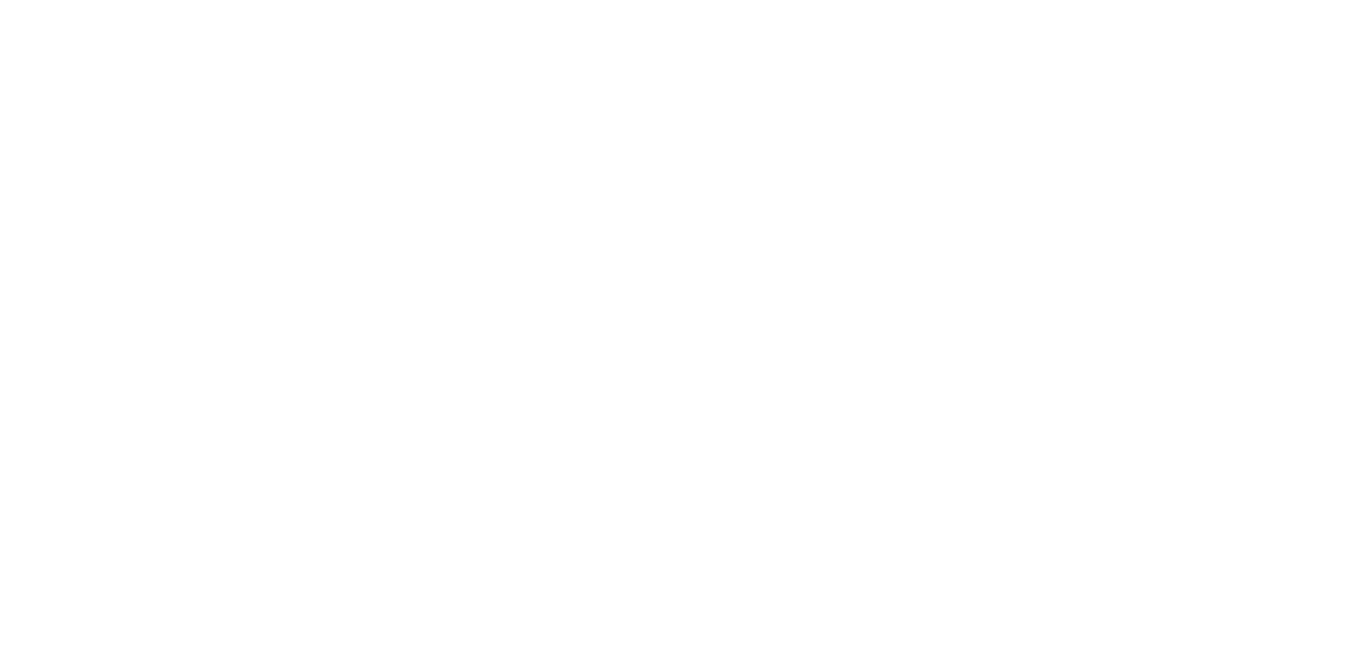 Audient EVO logo png
